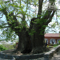 фото из отзыва ID 1515444