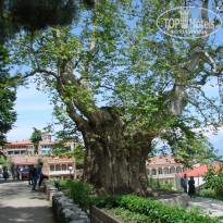 фото из отзыва ID 1515444