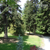 фото из отзыва ID 1515444