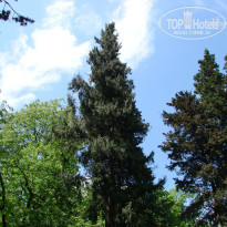 фото из отзыва ID 1515444