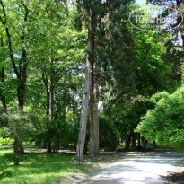 фото из отзыва ID 1515444