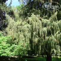 фото из отзыва ID 1515444