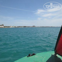 фото из отзыва ID 1513780