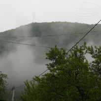 фото из отзыва ID 1515522