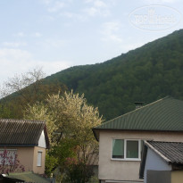 фото из отзыва ID 1515522