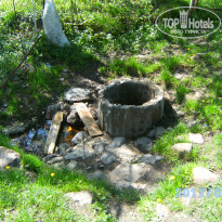 фото из отзыва ID 1515522