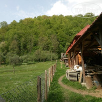 фото из отзыва ID 1515522