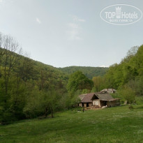 фото из отзыва ID 1515522