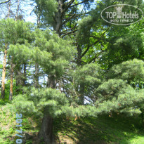 фото из отзыва ID 1515522