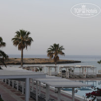 фото из отзыва ID 1515544