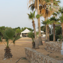 фото из отзыва ID 1515544