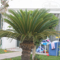 фото из отзыва ID 1515544