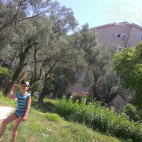 фото из отзыва ID 1515675