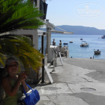 фото из отзыва ID 1515675