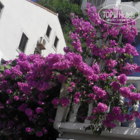 фото из отзыва ID 1515675