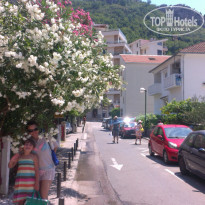 фото из отзыва ID 1515675