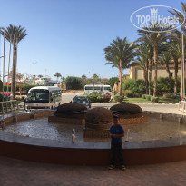 фото из отзыва ID 1515726