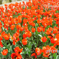 фото из отзыва ID 1515522