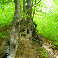 фото из отзыва ID 1515522