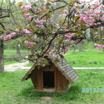 фото из отзыва ID 1515522