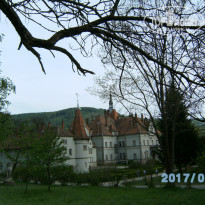 фото из отзыва ID 1515522