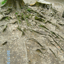 фото из отзыва ID 1515522