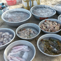 фото из отзыва ID 1513155