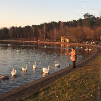 фото из отзыва ID 1516111