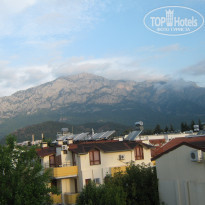 фото из отзыва ID 1516160