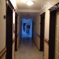 фото из отзыва ID 1516296