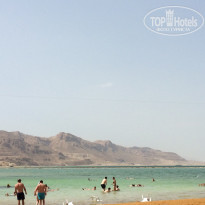 фото из отзыва ID 1516319