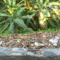 фото из отзыва ID 1516369