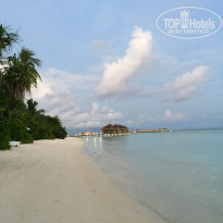 фото из отзыва ID 1516449