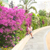 фото из отзыва ID 1516622