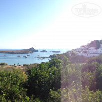 фото из отзыва ID 1517127