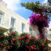 фото из отзыва ID 1517160