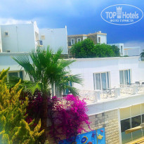 фото из отзыва ID 1517160