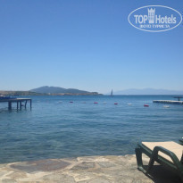 фото из отзыва ID 1517160