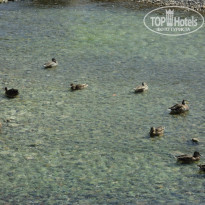 фото из отзыва ID 1517163