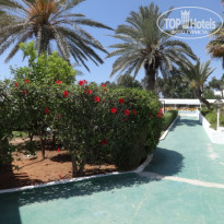 фото из отзыва ID 1517239