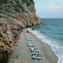 фото из отзыва ID 1517314