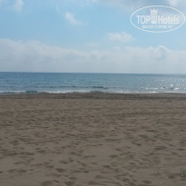 фото из отзыва ID 1517778