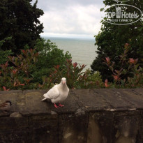 фото из отзыва ID 1517885