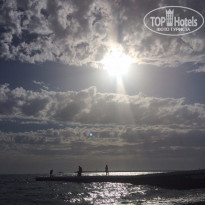 фото из отзыва ID 1517885