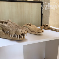 фото из отзыва ID 1517955