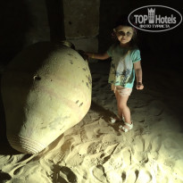 фото из отзыва ID 1517955