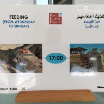 фото из отзыва ID 1517955