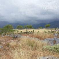 фото из отзыва ID 1518003