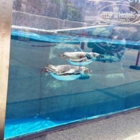 фото из отзыва ID 1518125