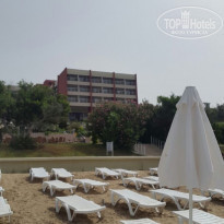 фото из отзыва ID 1517282